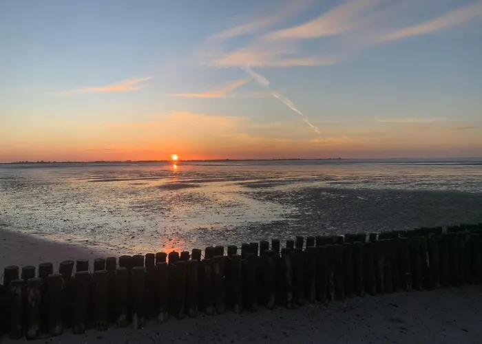-kiek Rin- Ostfriesland